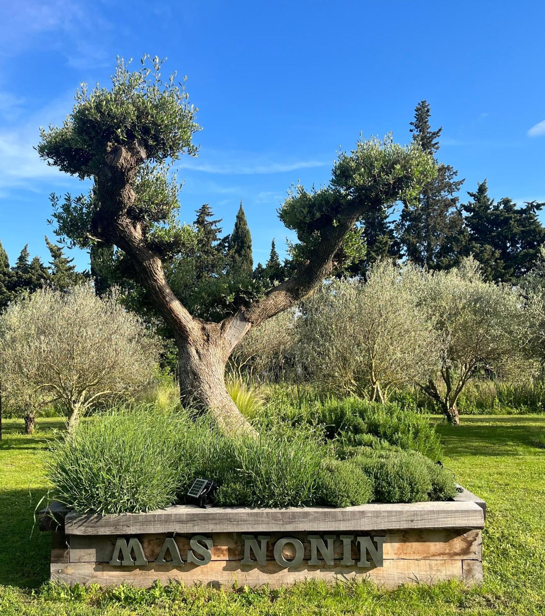 Готель Mas De Nonin St Remy De Provence Noves Екстер'єр фото